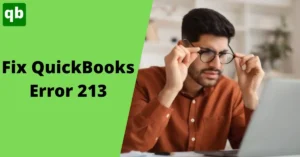 QuickBooks Error 213