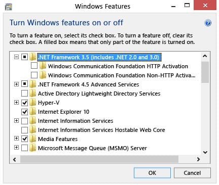 Turn on the .NET framework